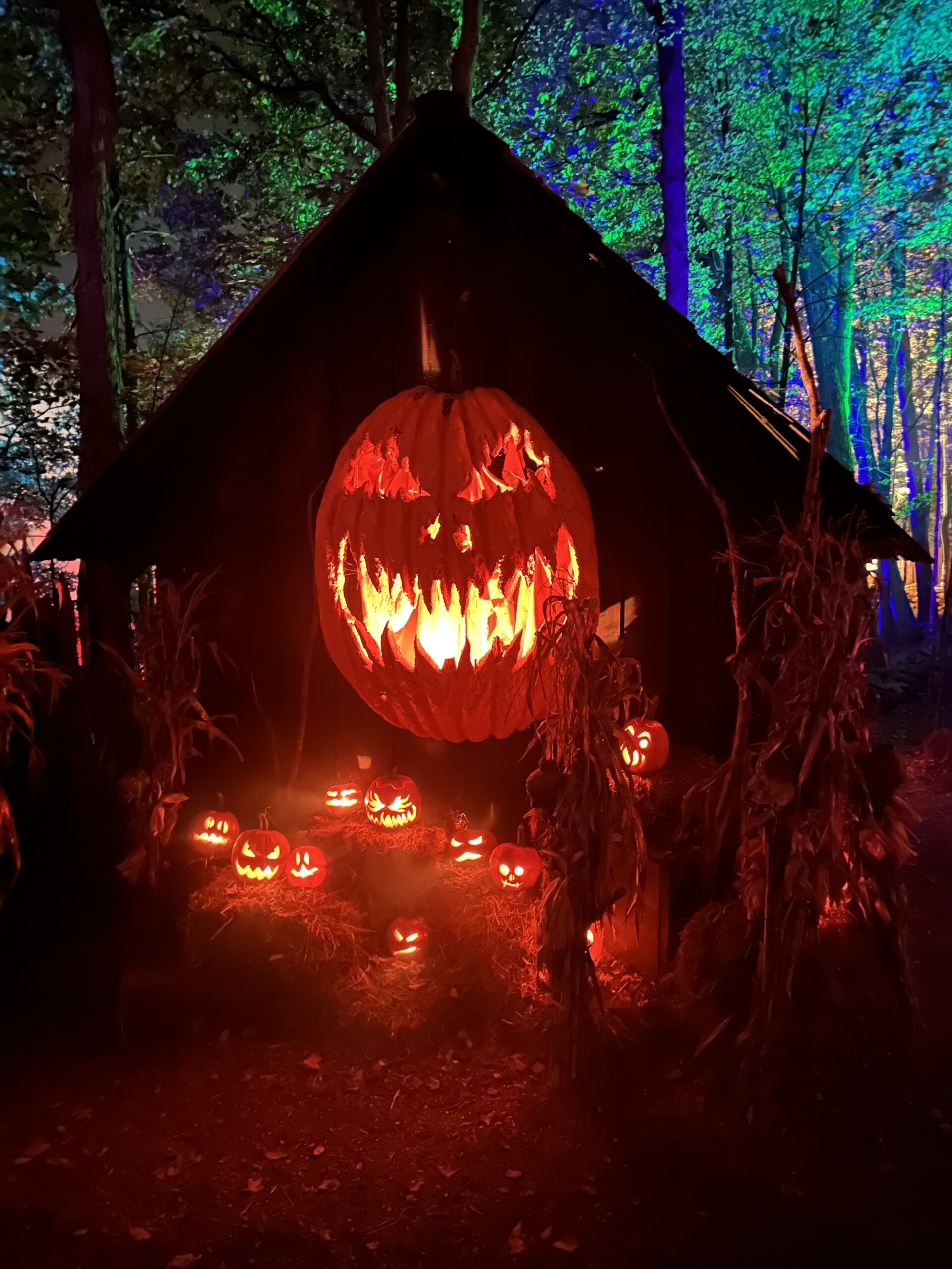 best Halloween attraction