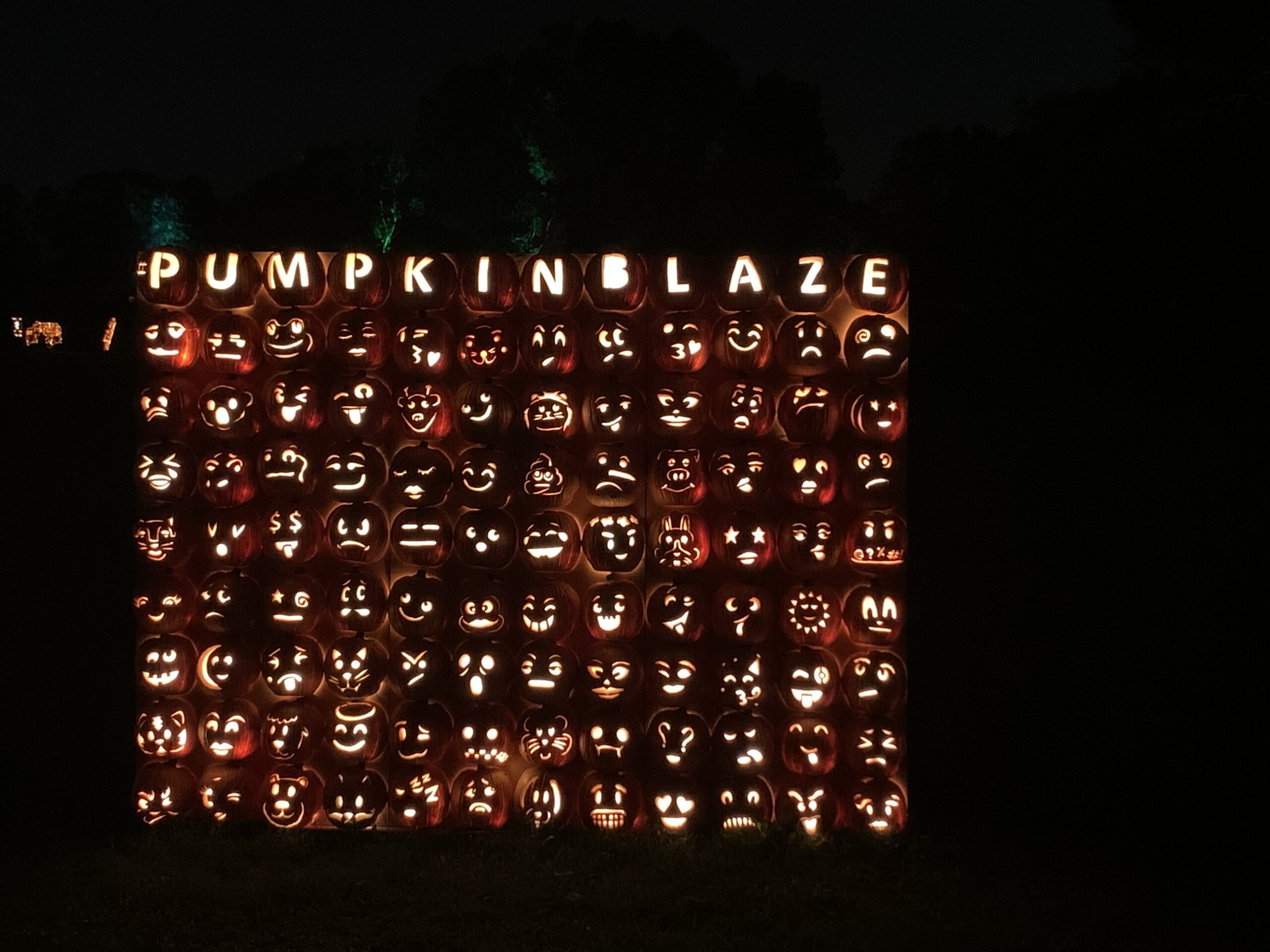 Pumpkin Blaze