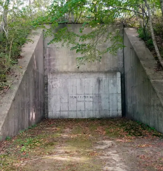 real life Stranger Things